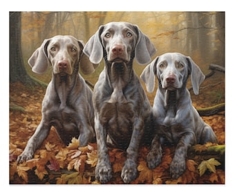 May include: A jigsaw puzzle featuring three Weimaraner dogs in a forest setting. The dogs, with their distinctive gray coats and floppy ears, are surrounded by autumn leaves. The background shows a blurred forest scene with trees.