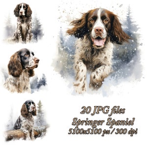 Clipartbundel Engelse springerspaniël | Hondensublimatieontwerp | Springerspaniël aquarel clipart JPG | Winter clipartpakket spaniël