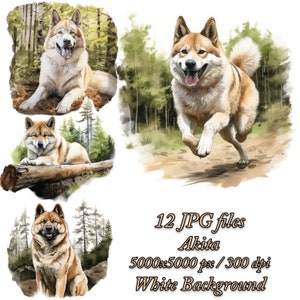 Akita Clipart Pack, Dog Sublimation Design, Akita Dog Watercolor Clipart JPG Pack, Akita Dog Sublimation Clipart Bundle, Akita in the Forest