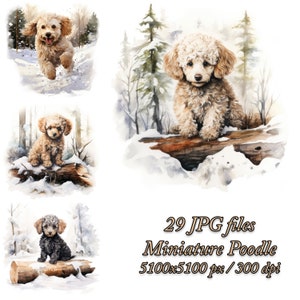 Miniature Poodle Watercolor Clipart: Winter Forest Dog (JPG Files)