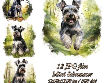 Mini Schnauzer Watercolor Clipart: Dog Sublimation Pack (JPG)