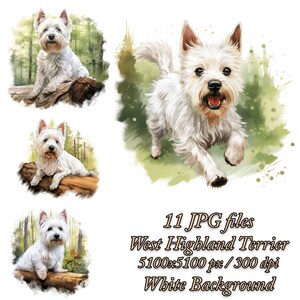 Westie Watercolor Clipart Bundle: Dog Sublimation Designs (JPG Pack)