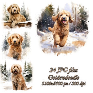 Pacchetto Clipart Goldendoodle / Design sublimazione cane / Goldendoodle Acquerello Clipart JPG / Goldendoodle in inverno JPG