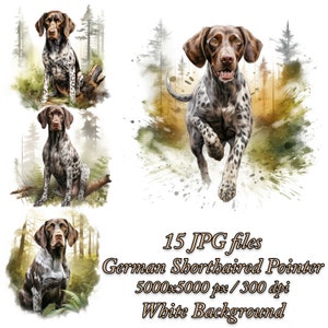 Puede incluir: Ilustración digital de un Braco Alemán de Pelo Corto en tres poses: sentado, corriendo y sentado con un helecho. El perro es marrón y blanco con manchas negras. El fondo es una escena de bosque de estilo acuarela con un fondo blanco. El texto "15 archivos JPG Braco Alemán de Pelo Corto 5000x5000 px / 300 dpi Fondo blanco" está en la parte inferior de la imagen.