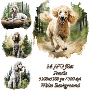 Watercolor Poodle Clipart: Forest Dog JPG Pack (Digital Download)