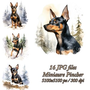Miniatur Pincher Hund Clipart Bundle | Hund Sublimationsdesign | Miniatur Pincher Aquarell Clipart JPG | Pincher Hund im Winter JPG