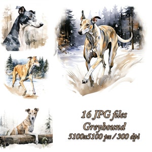 Greyhound-clipartbundel | Hondensublimatieontwerp | Windhond aquarel clipart JPG | Windhond in de winter JPG | Windhond Clipart