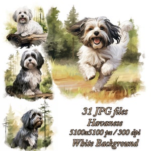 Havanese Watercolor Clipart Pack: Forest Dog Design (JPG)