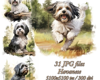 Havanese Watercolor Clipart Pack: Forest Dog Design (JPG)