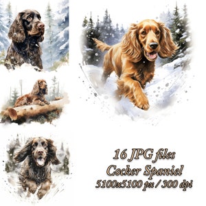 Cocker Spaniel Clipart Bundle | Dog Sublimation Design | Cocker Spaniel Dog Watercolor Clipart JPG | Winter Cocker Spaniel Clipart Pack