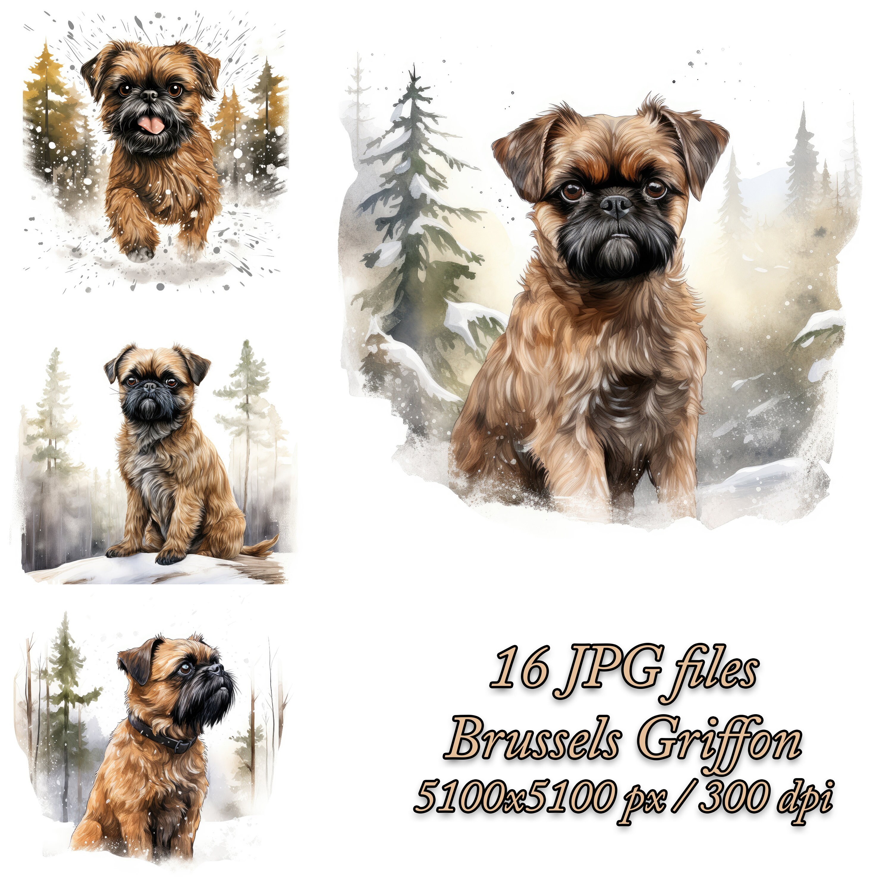 Petit Brabancon - Etsy