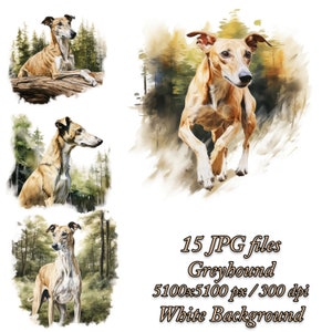 Pack de cliparts lévriers, sublimation de chien, pack de cliparts JPG aquarelle lévriers, lot de Sublimation de lévriers, art lévrier dans la forêt
