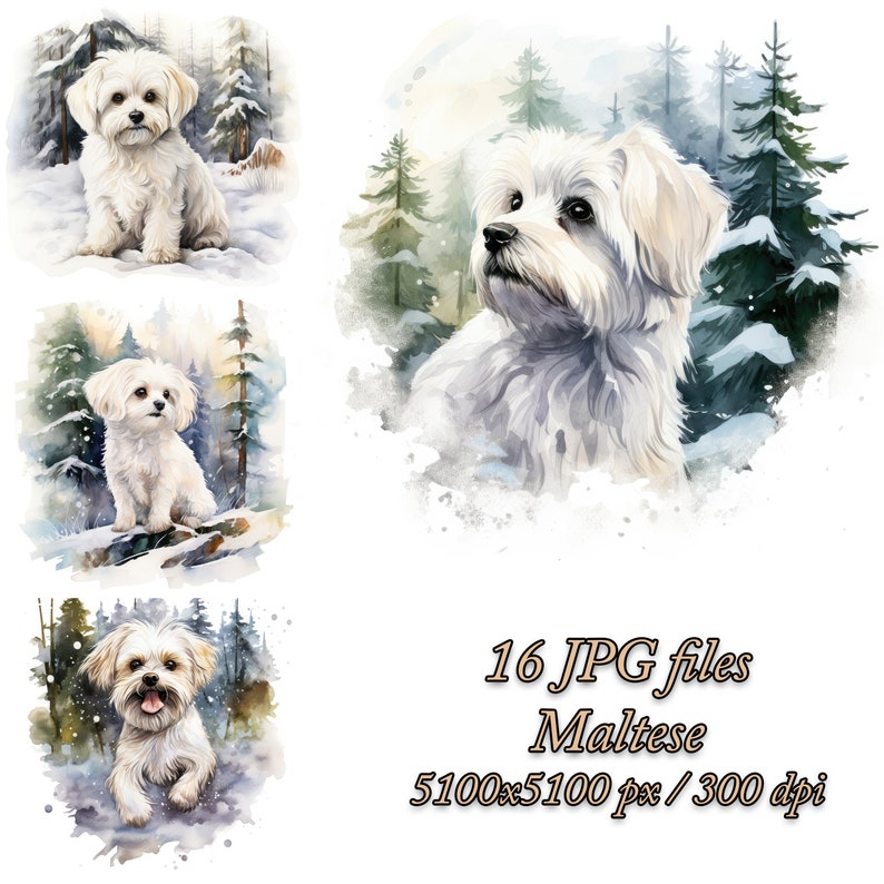 Maltese Dog Watercolor Clipart Bundle: Winter Designs (JPG Files) - Etsy