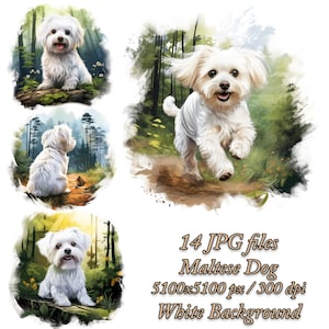 Pacchetto clipart maltese Pacchetto sublimazione cane, Clipart acquerello maltese JPG, Design sublimazione maltese. Cane maltese nella foresta clipart