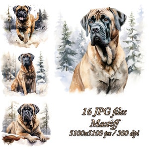 Mastiffhond clipartbundel | Hondensublimatieontwerp | Mastiff aquarel clipart JPG | Mastiff in het winterbos JPG