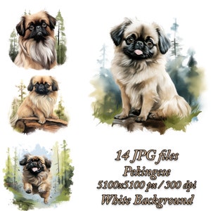 Pekingese Dog Watercolor Clipart Bundle (JPG Files)