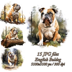 English Bulldog Clipart Bundle Dog Sublimation Design, English Bulldog Watercolor Clipart JPG, English Bulldog Sublimation Pack, Bulldog
