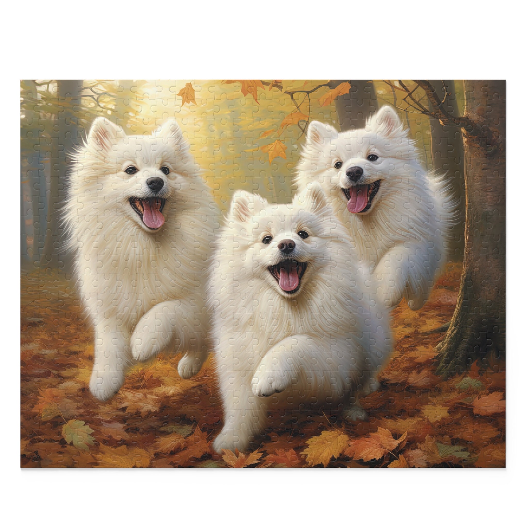 Japanese Spitz Family Dog Breeds American Eskimo Dog Price