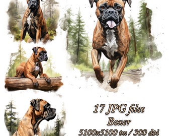 May include: A digital painting of a Boxer dog in various poses. The dog is brown and white with a black nose and tongue. The background is a watercolor wash of green and white, suggesting a forest setting. The text "17 JPG files Boxer 5100x5100 px / 300 dpi White Background" is at the bottom of the image.
