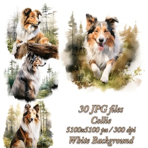 Collie clipart pack, hond sublimatie design, collie aquarel clipart jpg pack, collie sublimatie bundel, collie in het bos clipart