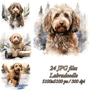 Lot de cliparts Labradoodle | Conception de sublimation de chien | Labradoodle aquarelle Clipart JPG | Chien Labradoodle en hiver JPG
