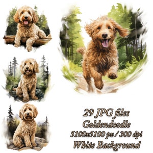 Pack de cliparts Goldendoodle, conception de sublimation de chien, pack JPG de cliparts aquarelle Goldendoodle, lot de Sublimation Goldendoodle