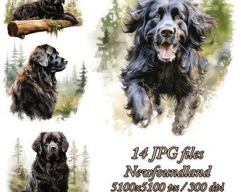 Newfoundland Dog Watercolor Clipart: JPG Bundle (Digital Download)