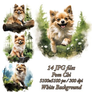 Könnte beinhalten: Eine digitale Illustration eines Zwergspitz-Hundes in vier verschiedenen Posen. Der Hund ist braun und weiß mit flauschigem Fell. Der Hintergrund ist im Aquarellstil mit grünen Bäumen und weißen Blumen.