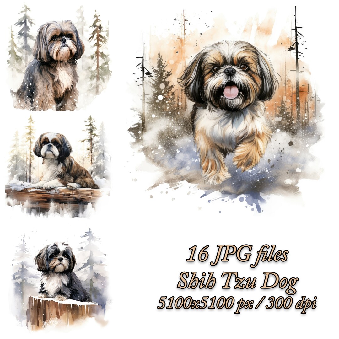 Shih Tzu Watercolor Clipart Bundle: Winter Dog Design (JPG Files) - Etsy