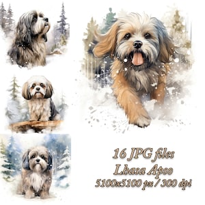 Pacote de clipart de cachorro Lhasa Apso | Design de sublimação para cães | Lhasa Apso Aquarela Clipart JPG | Cachorro Lhasa Apso no inverno JPG.webp