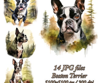 Boston Terrier Watercolor Clipart Bundle: Dog Sublimation Designs (JPG)