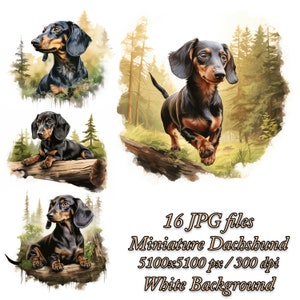 Mini Dackel Clipart Bundle, Hund Sublimationsdesign, Dackel Aquarell Clipart JPG, Miniatur Dackel Sublimationspaket