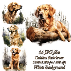 Golden Retriever Clipart Bundle Pacote de sublimação para cães, Golden Retriever Watercolor Clipart JPG, Golden Retriever Sublimation Design, Goldie