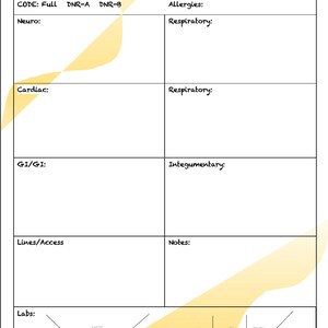Nurse Report Sheet