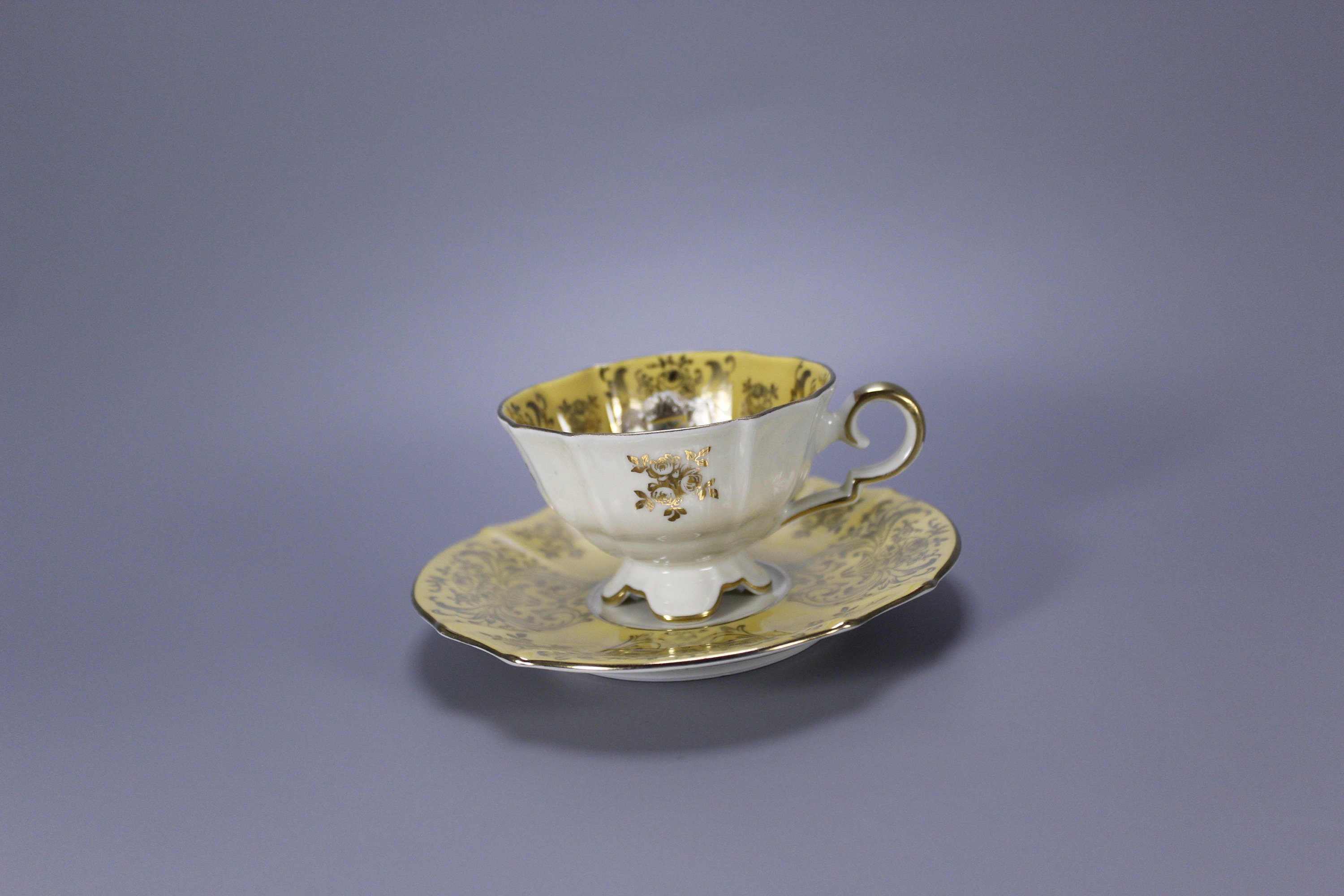 Alka Kunst Bavaria Porcelain Cup and Saucer 1960