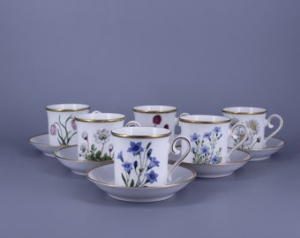 Eschenbach 'SWEDISH FLOWERS'. Set of 6 Cups with Saucer.