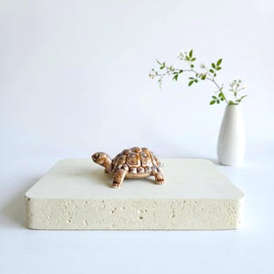 May include: A ceramic turtle figurine with a detailed shell pattern in shades of brown and tan. The turtle is positioned on a square, textured, off-white platform. A white vase with a sprig of white flowers is in the background.