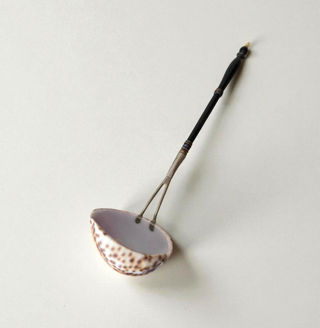 Antique Shell Ladle • 1800s Wooden Handle Scoop • 40 Cm • Natural ...
