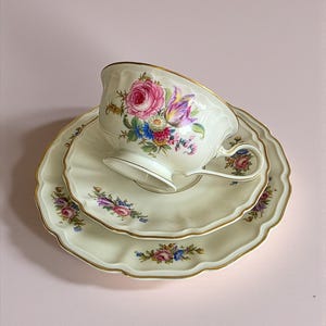 Rosenthal Regina Trio Cup Saucer Plate, 1940s Floral Porcelain Set