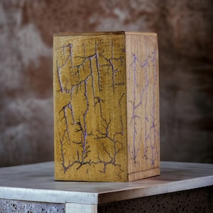 Personalized Mangowood Cremation Urn: Lichtenberg Fractal Art