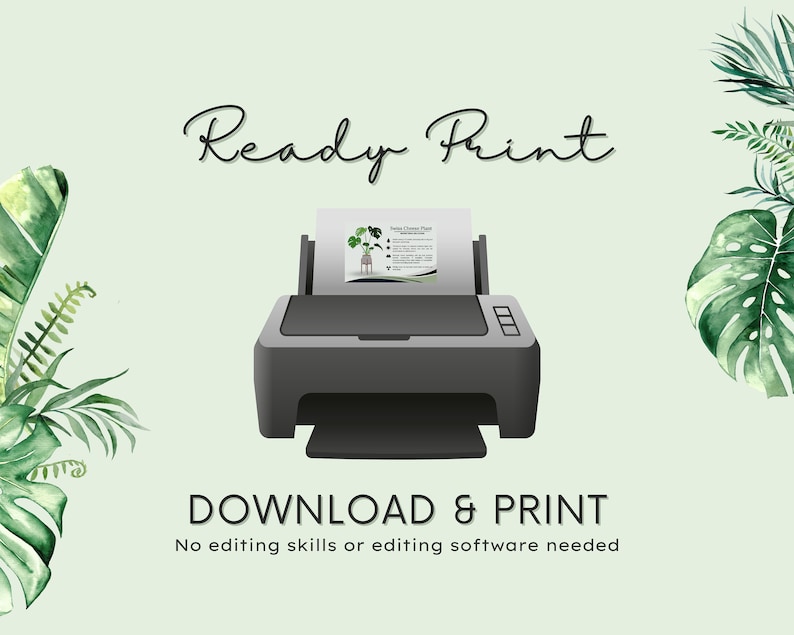 Spider Plant Care Card, How to Care for Spider Plant, Spider Plant