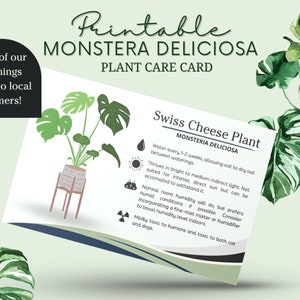 Tarjeta de cuidado de plantas Monstera, cuidado de plantas de queso suizo imprimible, filodendro de hoja dividida, Monstera Deliciosa,