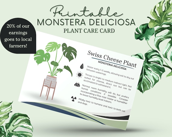 Monstera Plant Care Card, Swiss Cheese Plant Care Printable, Split Leaf  Philodendron, Monstera Deliciosa, - Etsy Israel