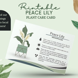 Carta per la cura delle piante del giglio della pace, Spathiphyllum, Carta per la cura delle piante d'appartamento, Etichetta stampabile per la cura delle piante, Etichetta della pianta, Come prendersi cura del giglio della pace