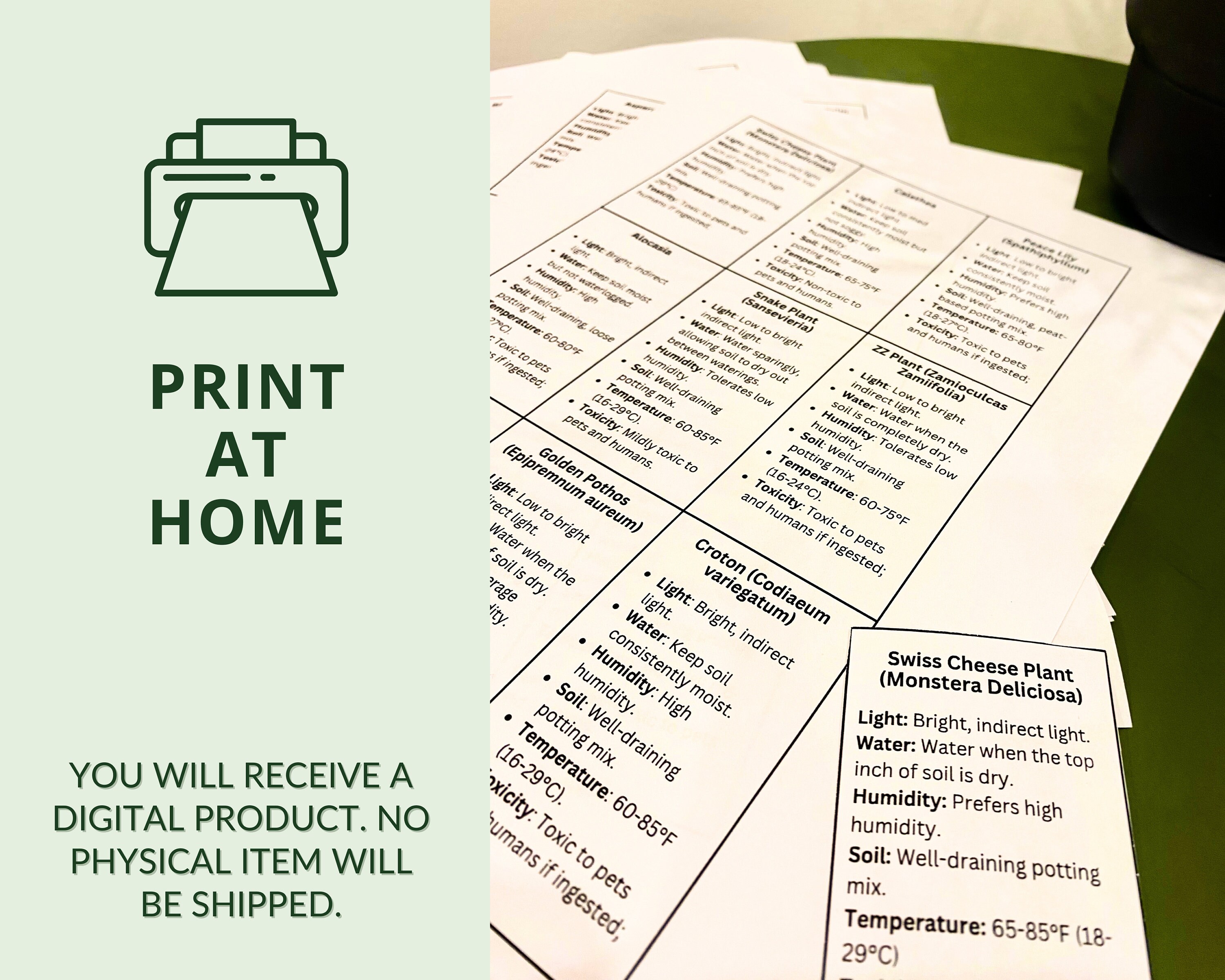 99 Printable Plant Care Cards, Plant Labels and Plant Tags, Minimalist ...