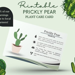May include: Printable plant care card for prickly pear cactus, also known as Indian fig. The card features a green prickly pear cactus illustration and instructions for watering, sunlight, and temperature.