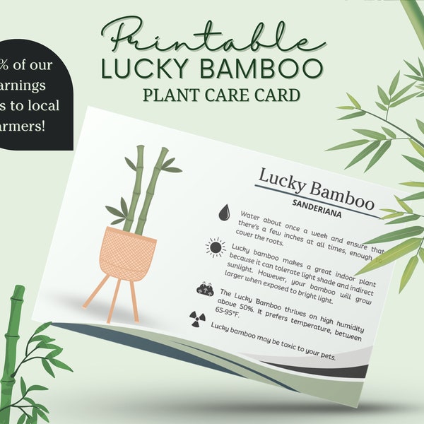 Lucky Bamboo Care Card, Chinese Bamboo Care Card, Lucky Bamboo Water Schedule, How to care for Lucky Bamboo, Lucky Bamboo Sunlight