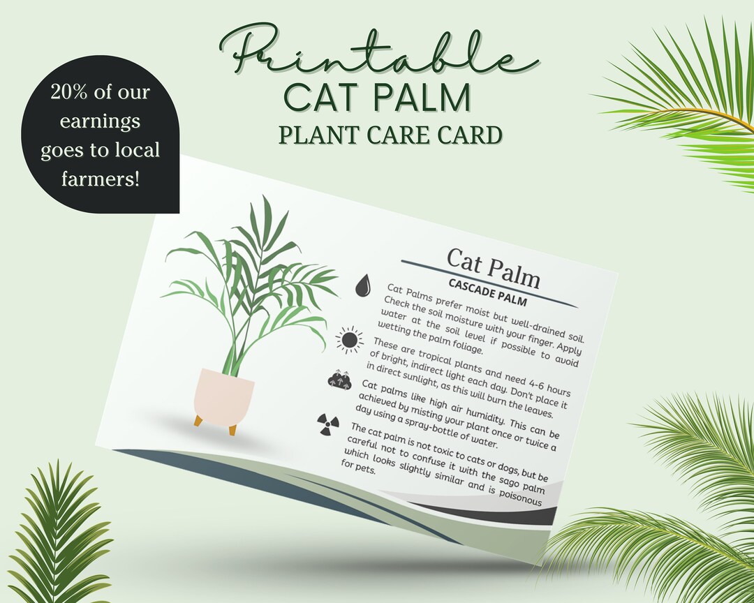 Cat Palm Care Card, How to Care for Cat Palm Plant, Sunlight for Cat Palm,  Printable Cat Palm Care Guide, Cataract Palm Care, Cascade Palm - Etsy