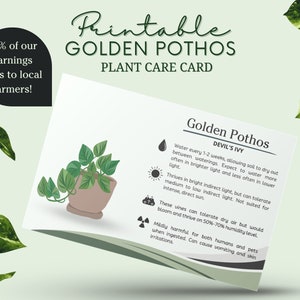 Gouden Pothos Plant Care Card Template, Devil's Ivy Plant Tag, Hoe zorg je voor Pothos, Pothos Waterschema, Pothos Sun Schedule