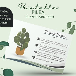 Carta per la cura di Pilea, Carta per la cura del denaro cinese, Carta per la cura delle piante di Pilea, Carta per la cura di Pilea Peperomioides, Come prendersi cura di Pilea, Programma dell'acqua Pilea
